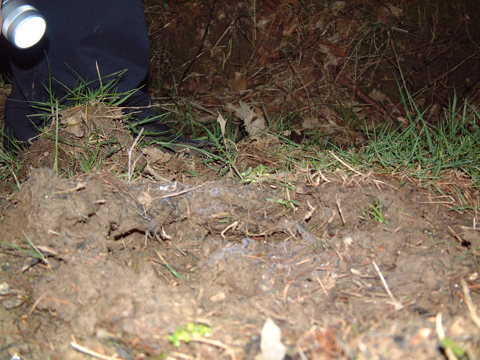 side view of depression  of print