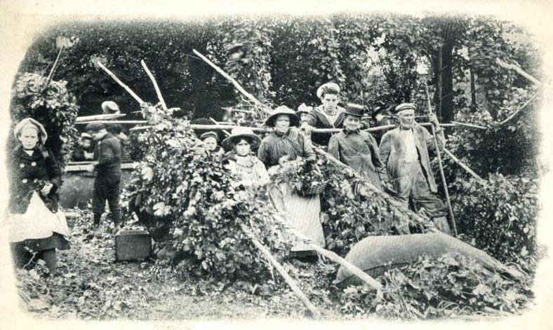 Hop Pickers