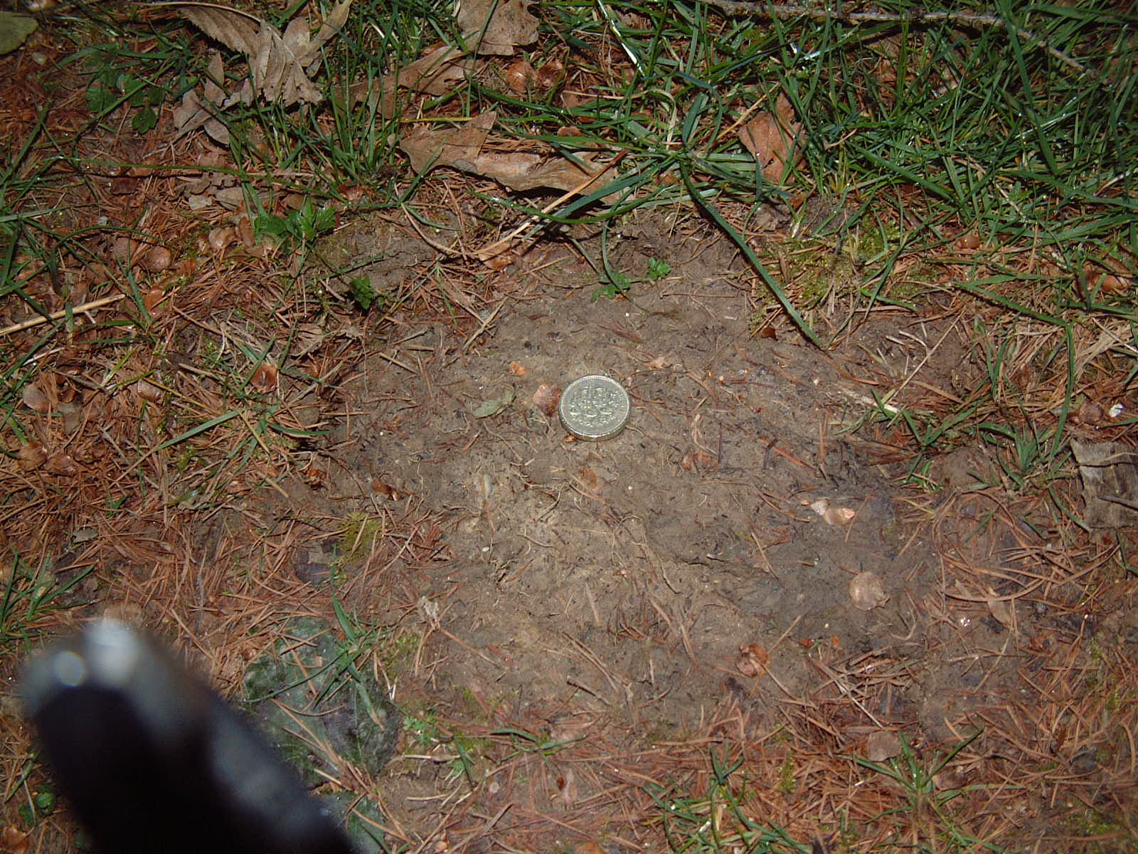 print with £1 for scale