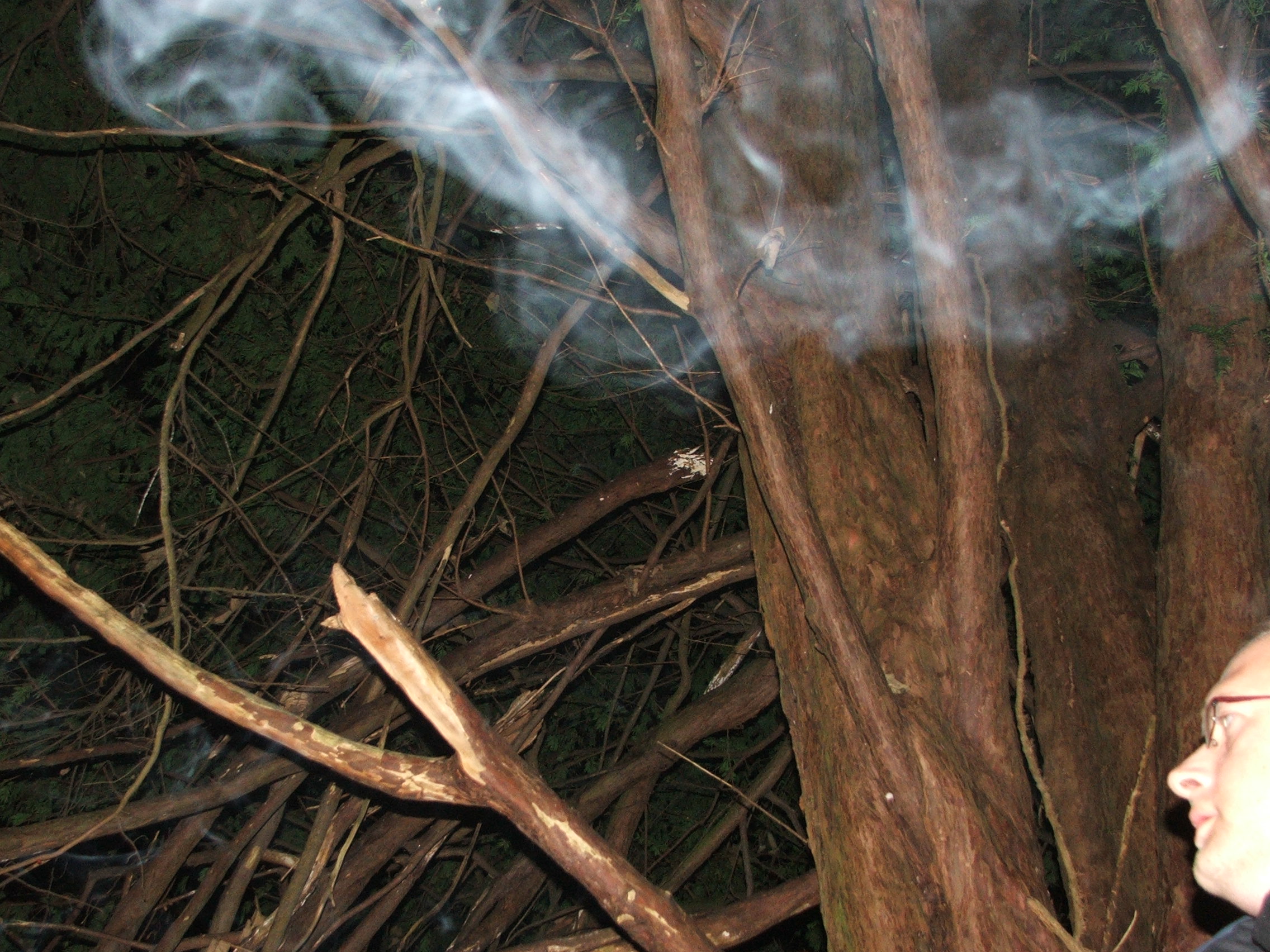 experiment with smoke