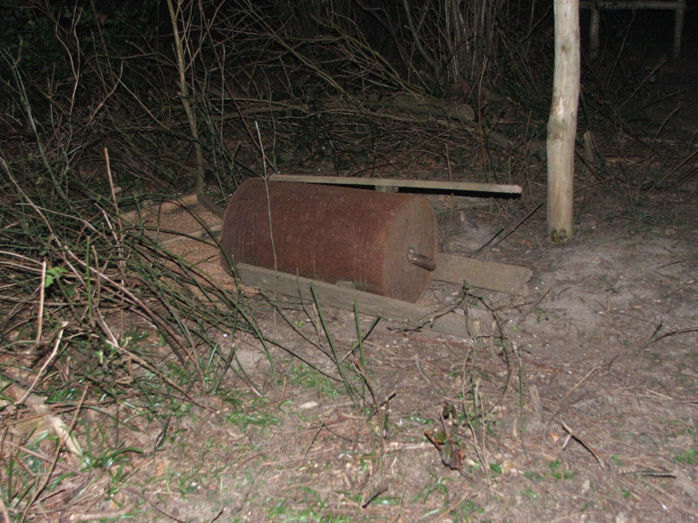 one of three upturned feeders