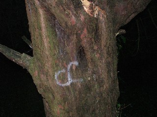 Strange Sign of tree next to  chapel